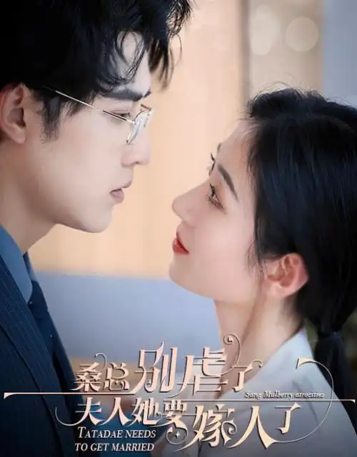 暗涌之城 热播电视剧全集在线观看